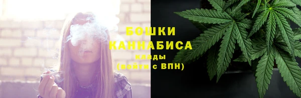 прущая мука Инсар