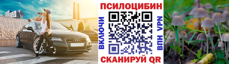 Псилоцибиновые грибы прущие грибы  Купить  Грязи 